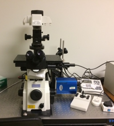 Epifluorescent microscope