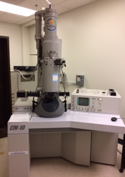 Transmission electron micrscope
