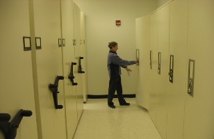 Herbarium cabinets