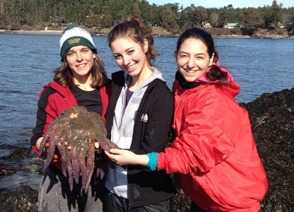 Anya Voloshin, Emily Harmon and Karina French show off one of the treasures collected in the trip: a 20-armed sunflower sea star. 