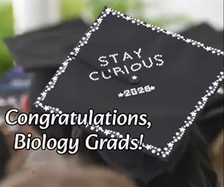 graduation cap that reads stay curious