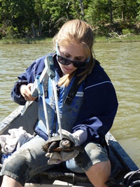 Amy Upperman W&M ’13 measures the carapace of a Diamondback Terrapin.