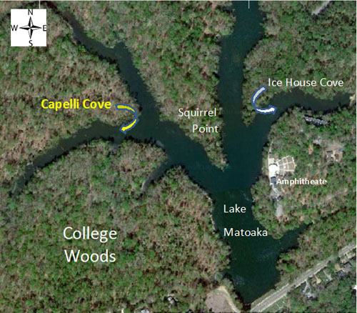 Aerial photo showing location of Capelli Cove