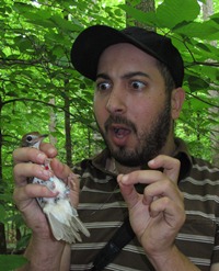 Ghazi expresses amazement that he finally caught a bird.  Unfortunately, it was not a starling…