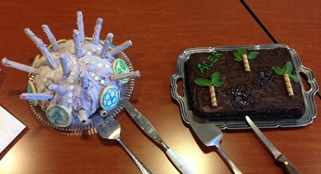 Dr. Margaret Saha made the two creative and delicious cakes. Photo: Jon Allen