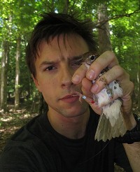 Holding a woodthrush