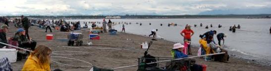 Kenai, Alaska, where locals dip their nets to catch salmon that are swimming-up river to spawn.   Photo by Patty Zwollo