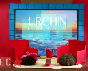 Screen shot from the Urchin Show video