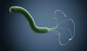helicobacter-pylori-keim.jpg