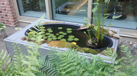 ISC Courtyard Pond