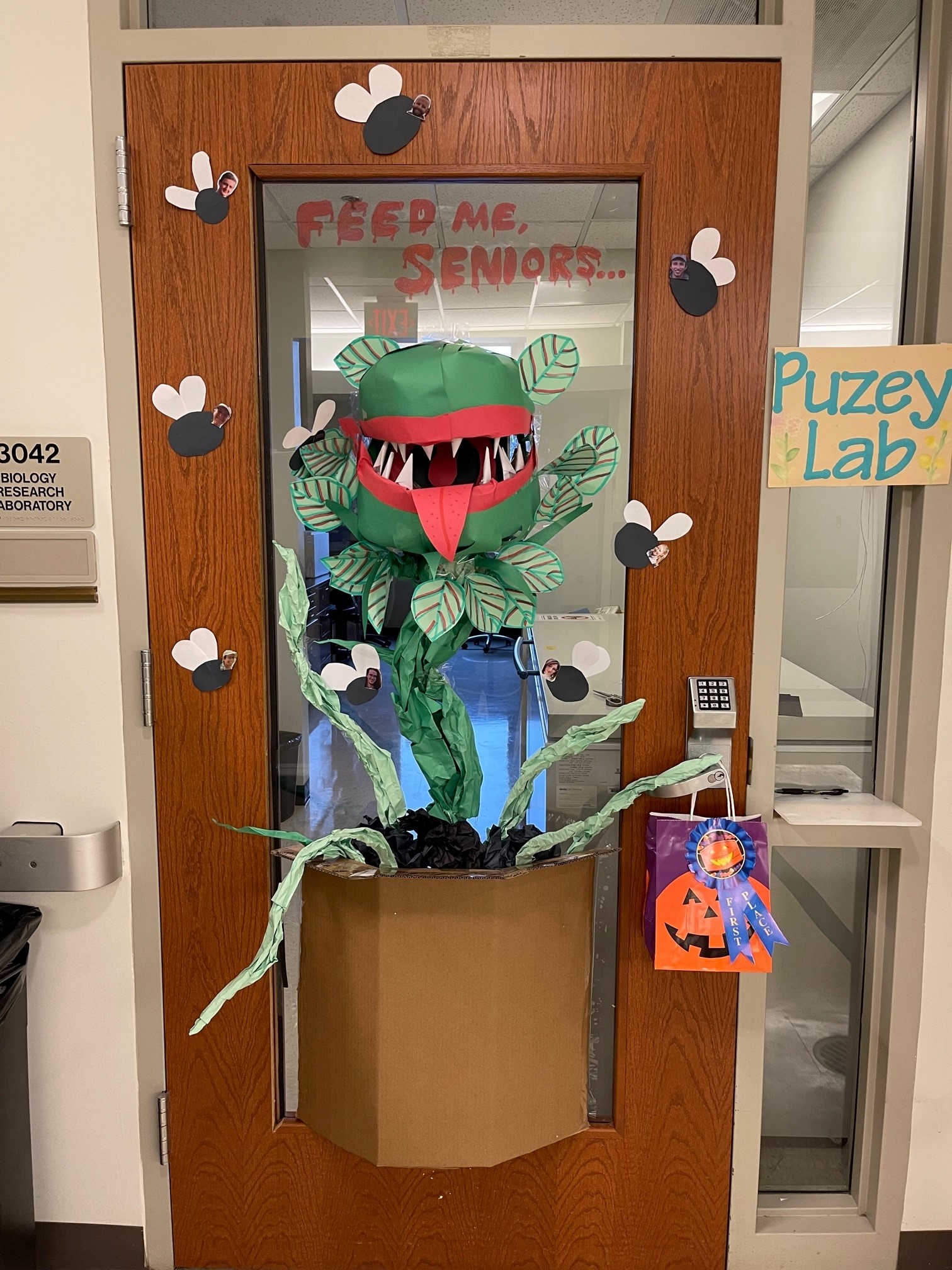 halloween-door-puzey-lab.jpg