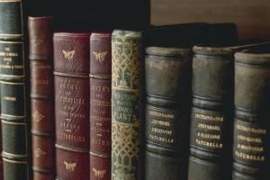 Image of library books on shelf