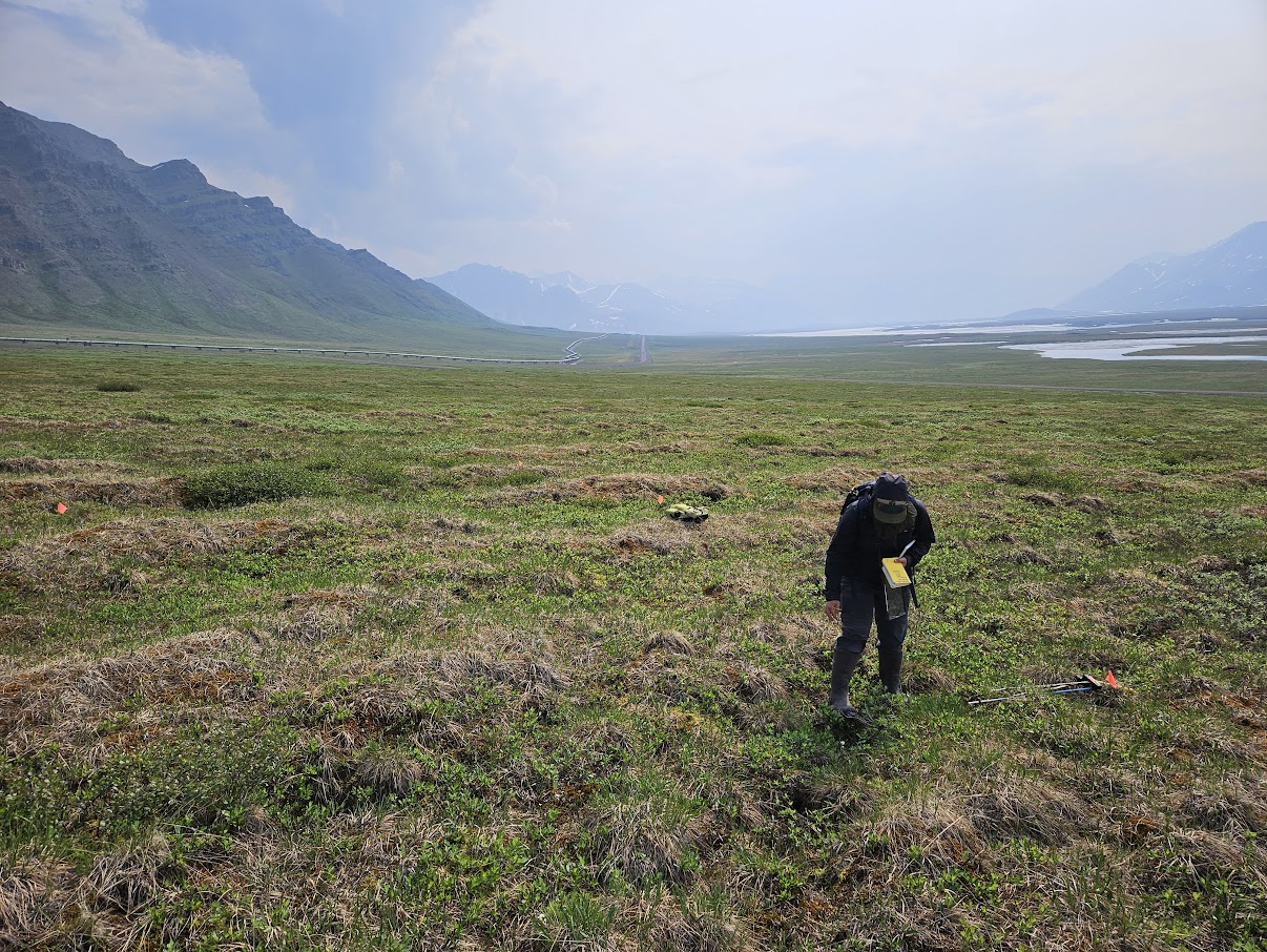 Kastning appreciated the trust and responsibility that came along with "the freedom to develop our own methods of data collection in the field" last summer at Toolik Field Station in northern Alaska. (Courtesy photo)