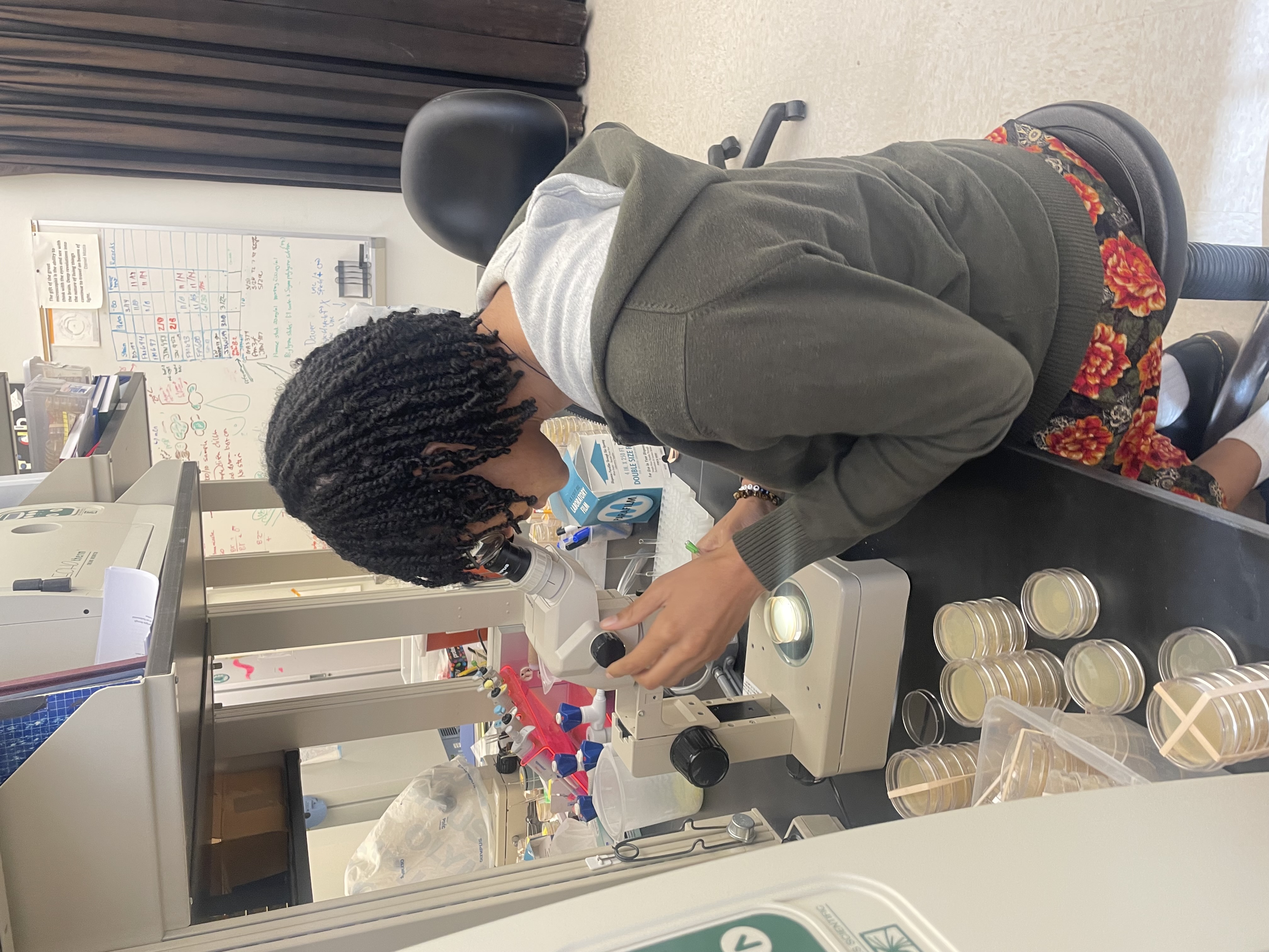 Olivia Warren '27 is presenting her research at the 25th Annual International Worm Meeting at the University of California, Davis, in early July with support from a Charles Center Research in Motion grant. (Courtesy photo)