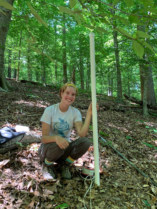 Geology major Chloe Lund '23 spent the summer monitoring ultrasonic acoustic emissions and their effect on tree water.