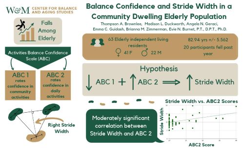 Balance Confidence and Stride Width in a Community-Dwelling Elderly Population