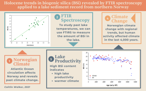 Holocene trends in biogenic silica revealed by FTIR spectroscopy applied to a lake sediment record from northern Norway