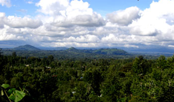 Landscape of Kenya.