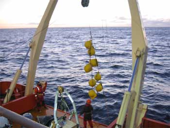 Retrieving the sediment trap.