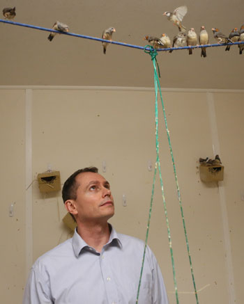 John Swaddle and birds