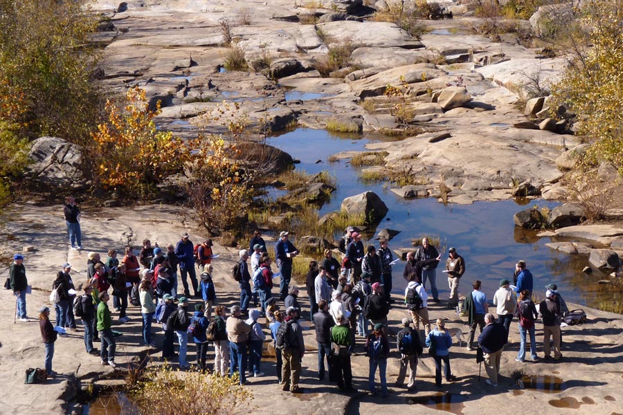 Bird's eye view of the motley crew at Belle Island.