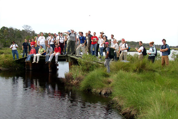 A bridge too far. William & Mary geologist’s consider a tidal creek on Parramore Island.