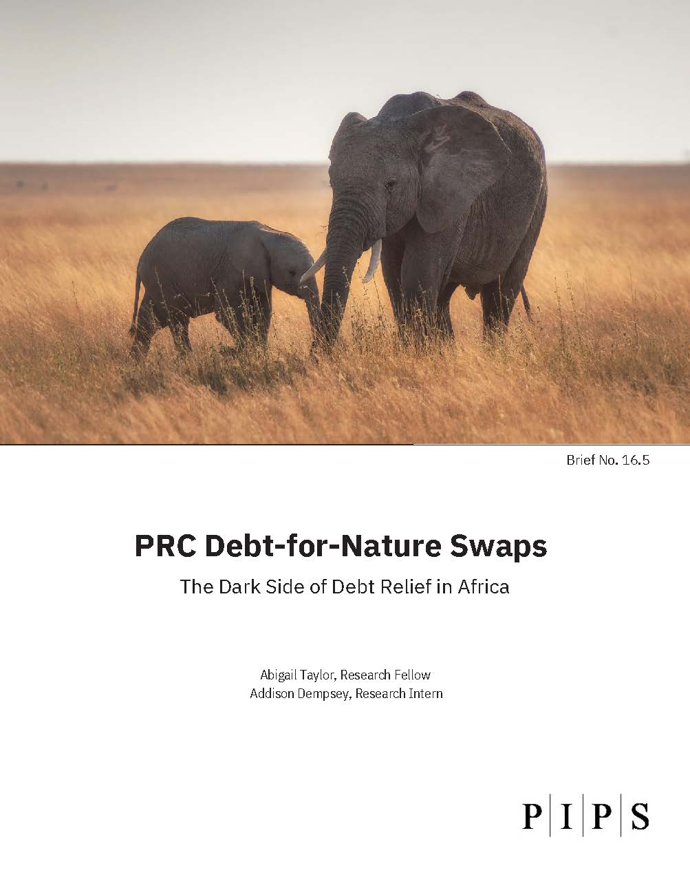 Report Cover Image - Abigail Taylor