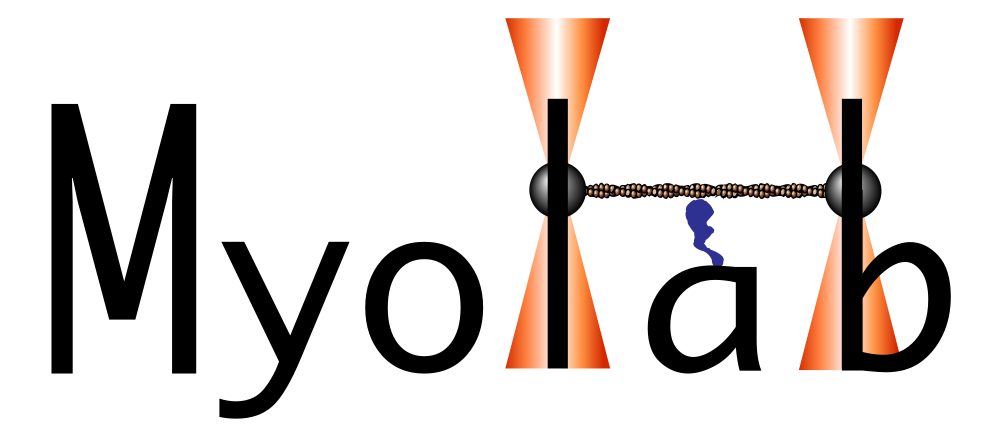 Myolab Logo Image