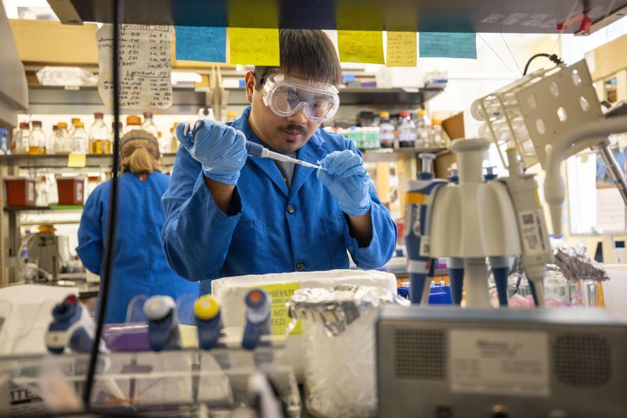 Student doing research in lab