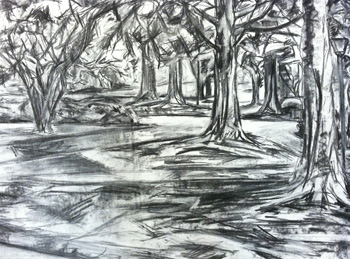 Trees by Andrews Hall and Swem Library, charcoal on paper, 22 by 30 inches, by Gabriella Smith '13