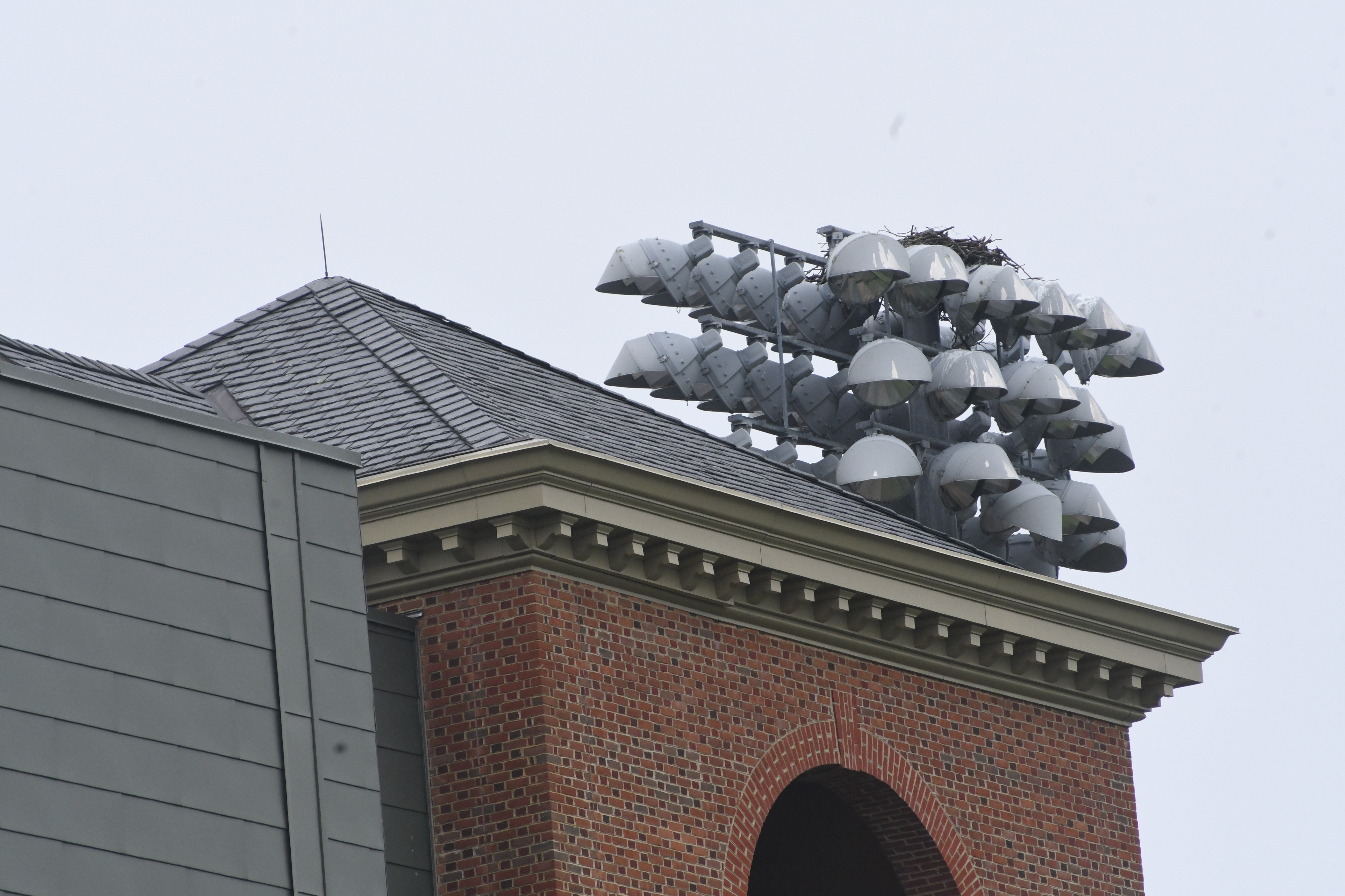 Osprey nest on top of a light tower at the corner of the Zable Stadium on W&M campus.