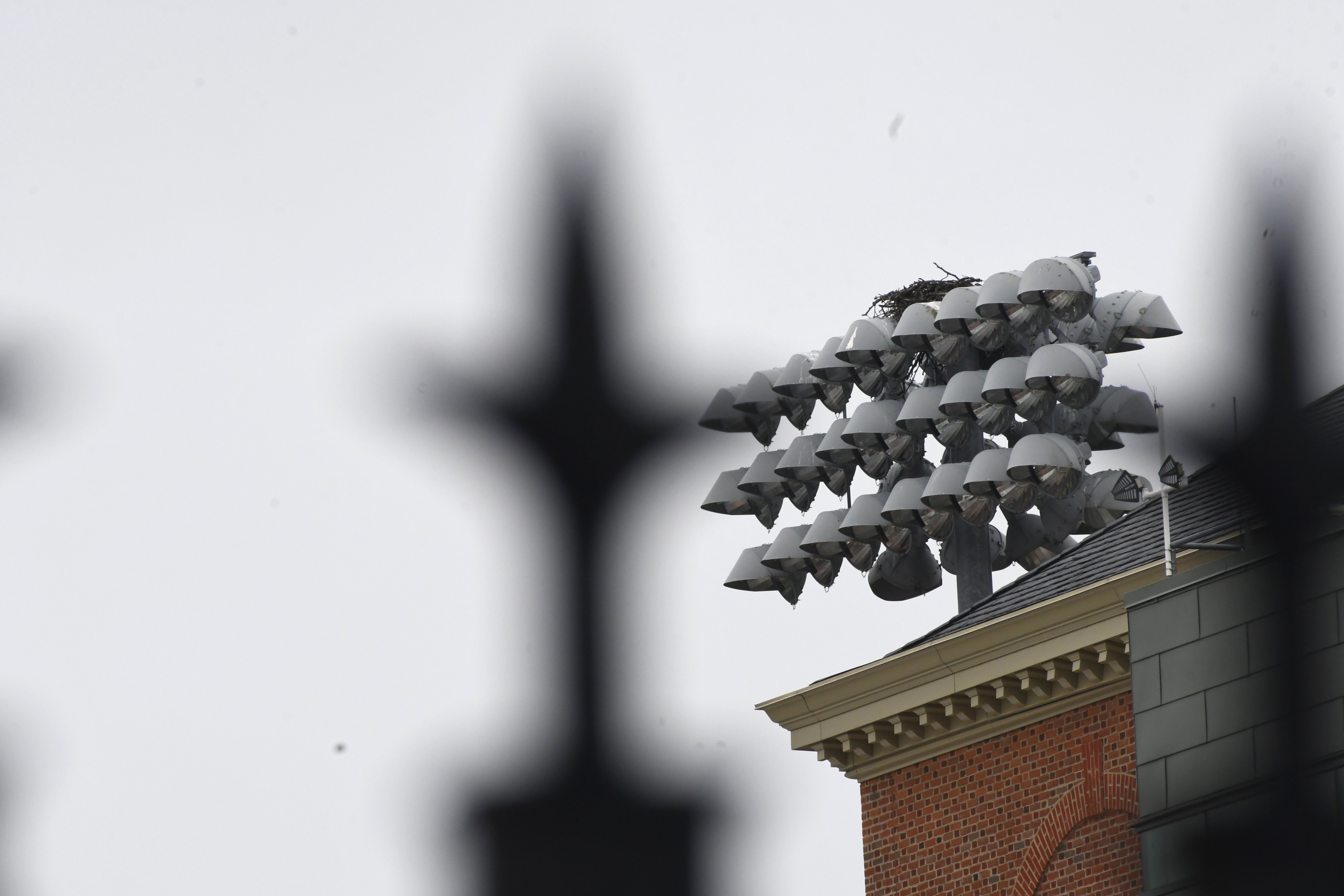 View of the osprey nest highlighting flight access to the nest.