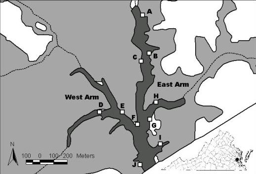 site map