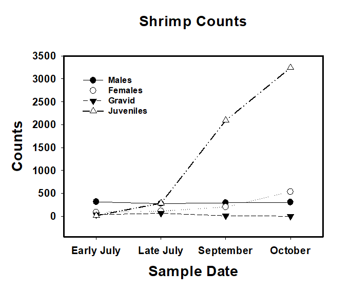 line plot of counts of shrimp by sample date