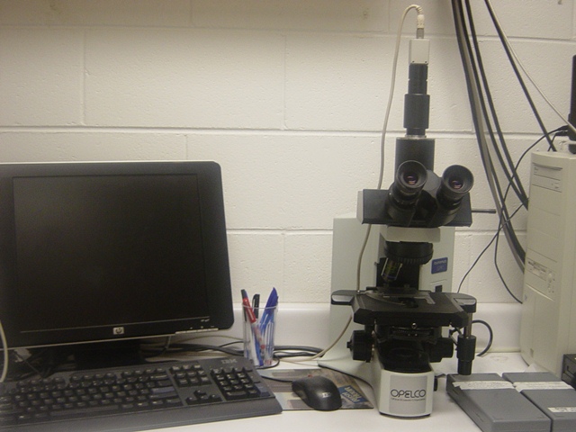 Olympus Light Microscope