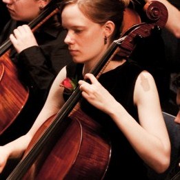 cello cropped