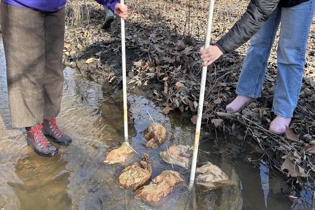 Students in ENSP have the opportunity to conduct field work as part of the interdisciplinary program.
