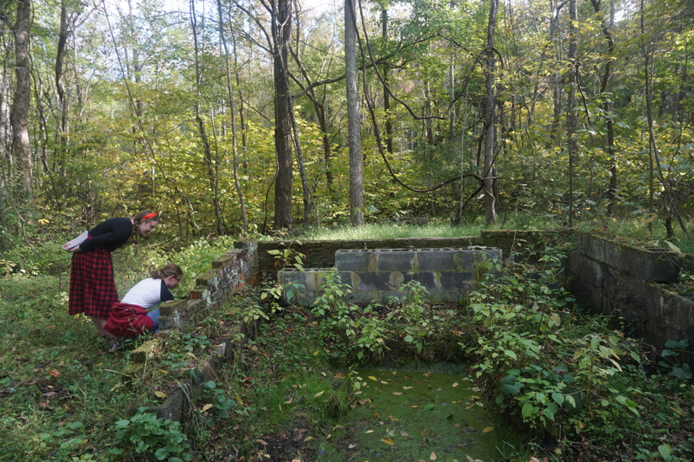 History 214 Students at Greenspring Plantation