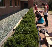 Students planting pinwheels.
