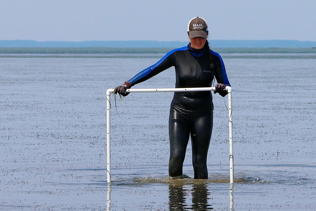 A student seining in a river