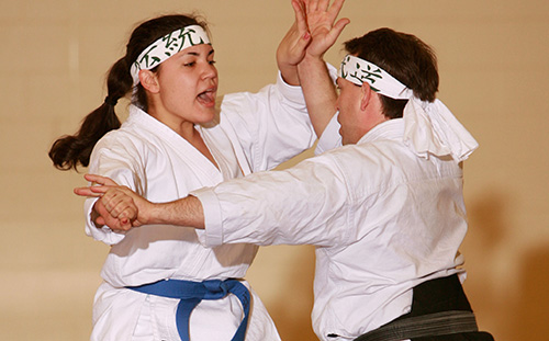 A martial  arts instructor and his student demonstrate a move. 