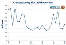 Total number of blue crabs in the Chesapeake Bay by region (all ages and sexes) | Click for a larger version