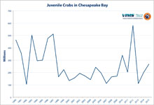 Number of juvenille blue crabs in the Chesapeake Bay in millions (both sexes) | Click for larger version