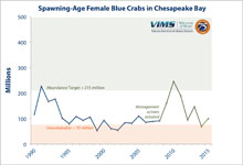 Number of spawning age female blue crabs in the Chesapeake Bay in millions | Click for larger version