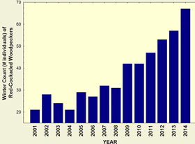 Results of winter population counts of red-cockaded woodpeckers at the Piney Grove Preserve since 2001.