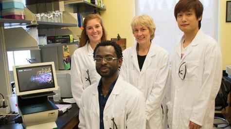 Nuclear transport team: