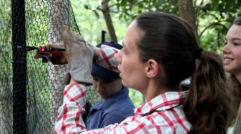 Seven-feet high enclosure