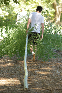 A student helps clear bamboo from the area during SHOW Day in August 2016 (Photo by Stephen Salpukas)