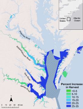 Map of predicted harvest increases; hatched area is a no-take crab sanctuary. Click to zoom.