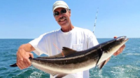VIMS professor John Graves with a tagged cobia.